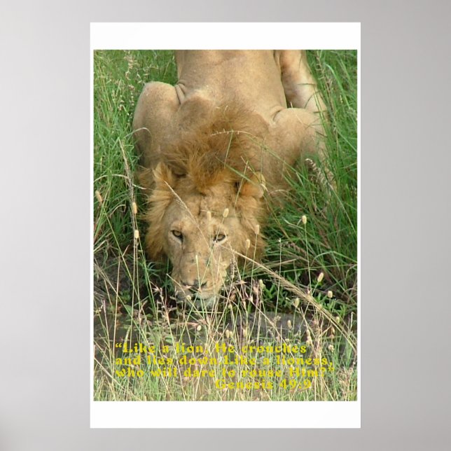 Crouching Lion, Hidden Not Poster (Front)