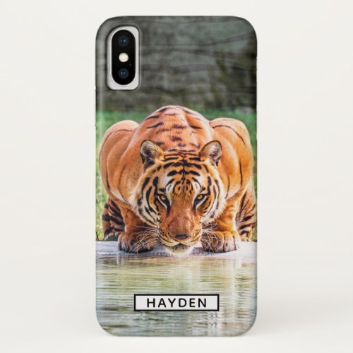 Crouching Tiger Drinking Water iPhone XS Case