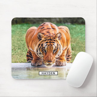 Crouching Tiger Ready to Pounce Mouse Pad