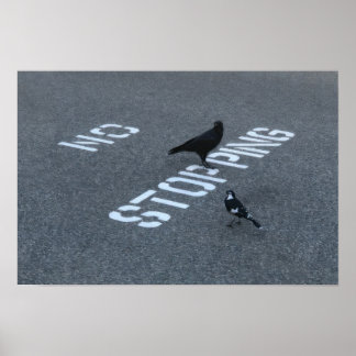 Crow and Magpie Poster