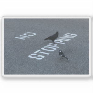 Crow and Magpie Sticker