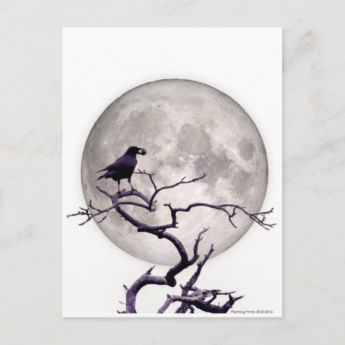 Crow And Moon Raven Fantasy Gothic Night Postcard