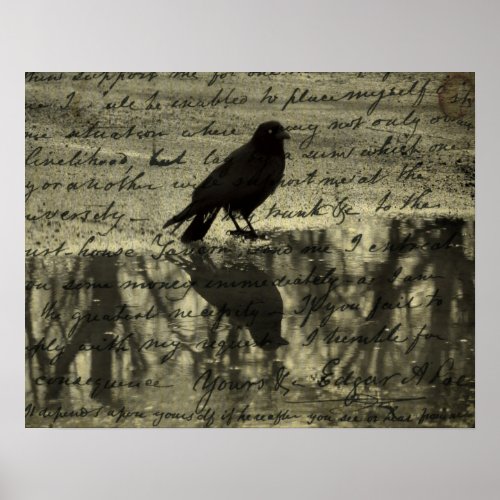 Crow And Poe Papers Poster