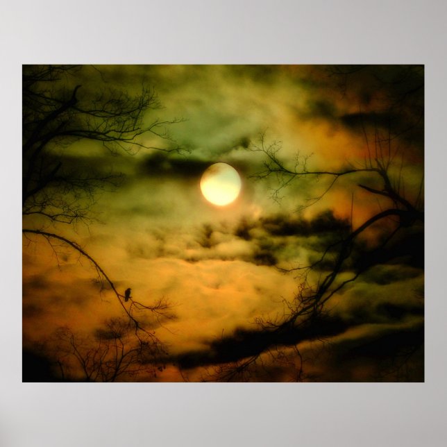 Crow And The Ominous Sky Poster (Front)