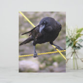 Crow at Crossroads (Standing Front)