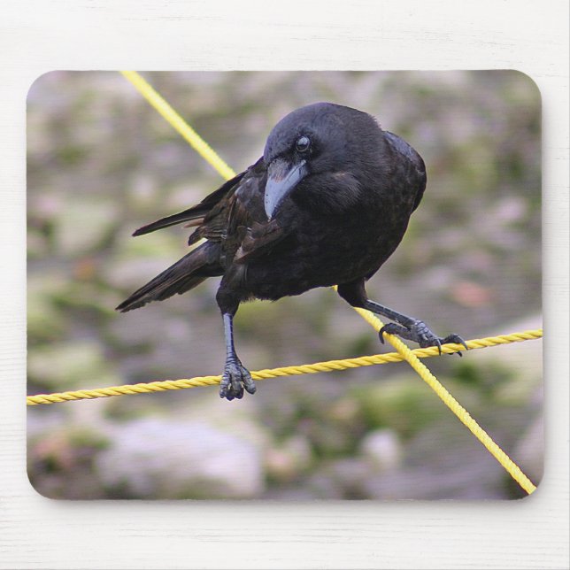 Crow at Crossroads Mouse Pad (Front)