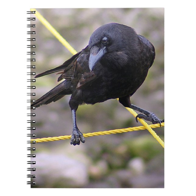 Crow at the Crossroads Notebook (Front)