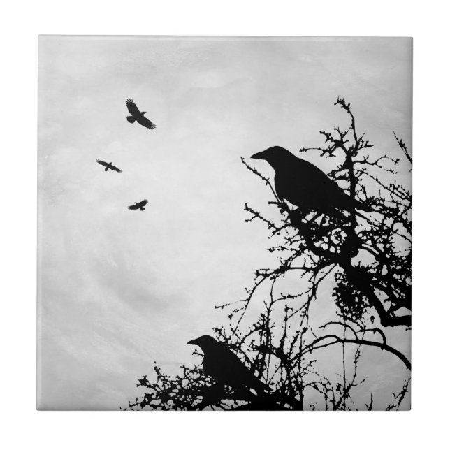 Crow Bird Design 43 Ceramic Tile (Front)