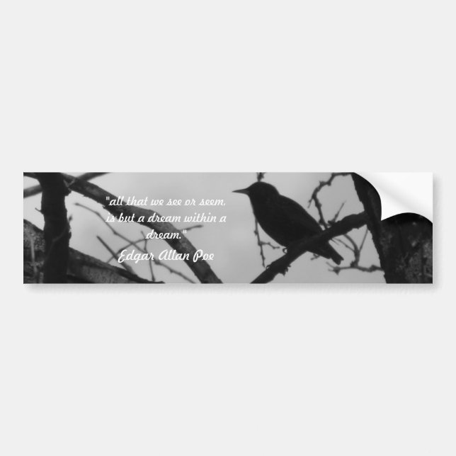 Crow Bumper Sticker (Front)