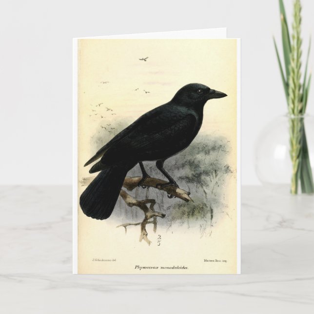 Crow Card (Front)