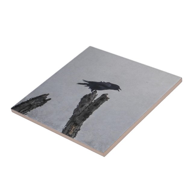 Crow Ceramic Tile (Side)