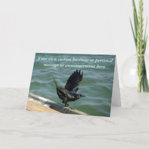 Crow Custom Announcement