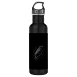 Crow, F-Caw-F Funny Bird Moon Gothic Adult Humor T Stainless Steel Water Bottle