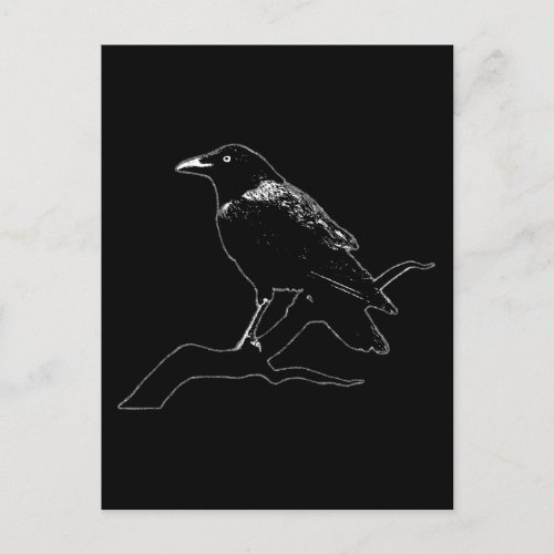 Crow for dark backgrounds postcard