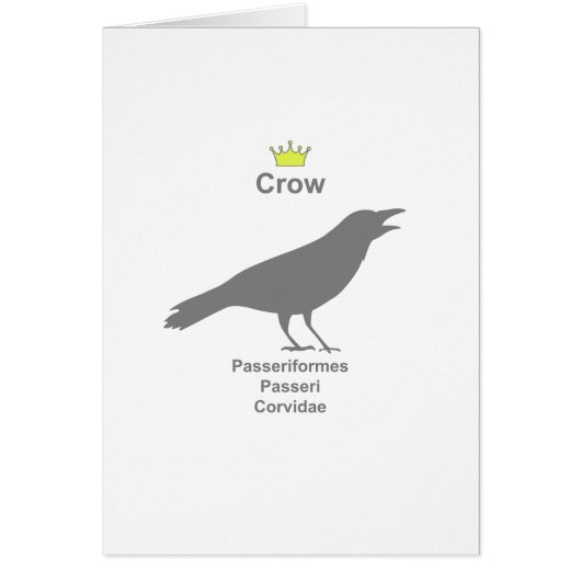 crow g5 cards (Front)