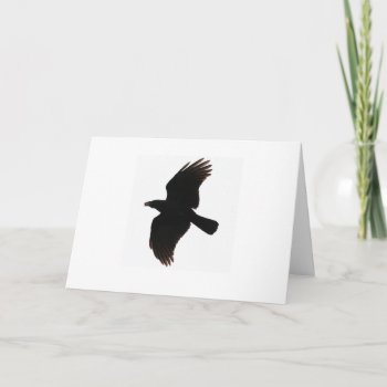 Crow Greeting Cards by Theraven14 at Zazzle