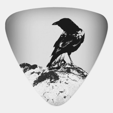 Crow Guitar Pick / Photography By Todd D. Martin