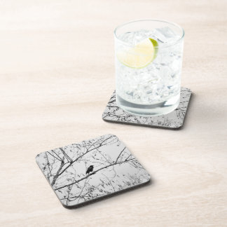 Crow in a Birch Tree Beverage Coaster