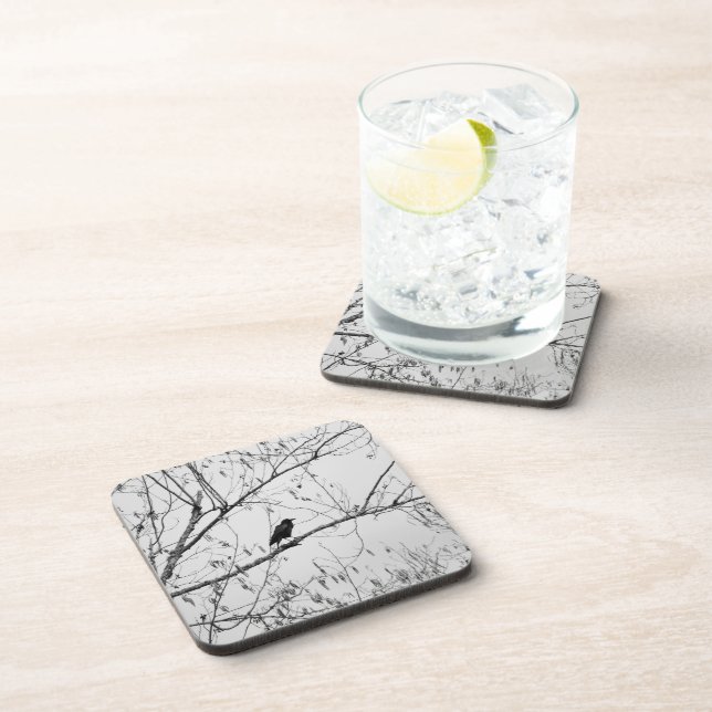 Crow in a Birch Tree Beverage Coaster (Right Side)