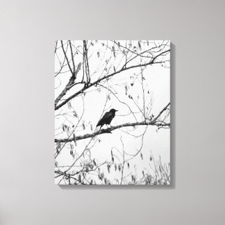 Crow in a Birch Tree Canvas Print
