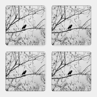 Crow in a Birch Tree Coaster Set