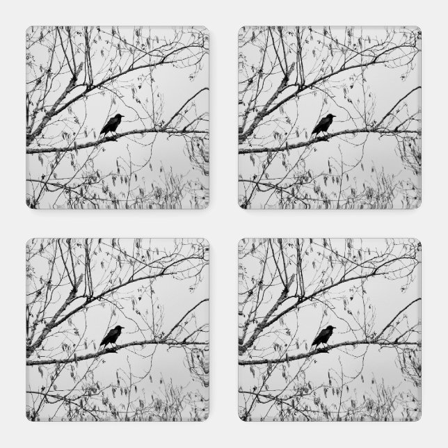 Crow in a Birch Tree Coaster Set (Set)