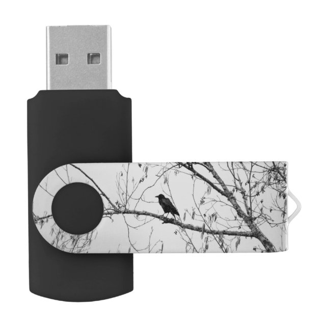 Crow in a Birch Tree Flash Drive (Opened)
