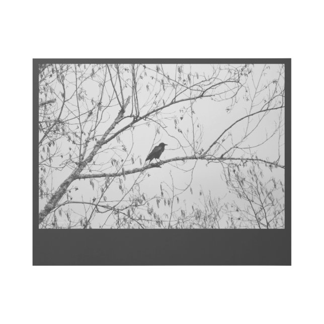 Crow in a Birch Tree Gallery Wrap (Front)