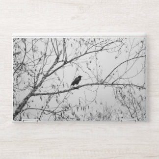 Crow in a Birch Tree HP Laptop Skin