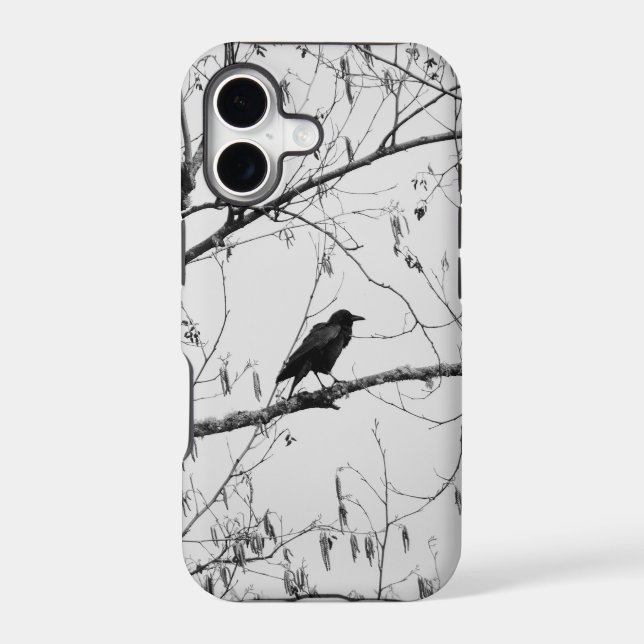 Crow in a Birch Tree Iphone Case (Back)