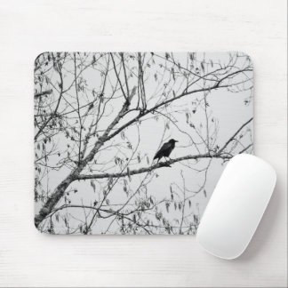 Crow in a Birch Tree Mouse Pad