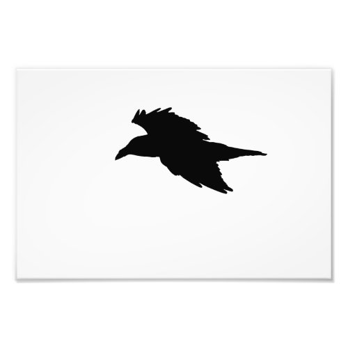 Crow In Flight Black And White Photo Print