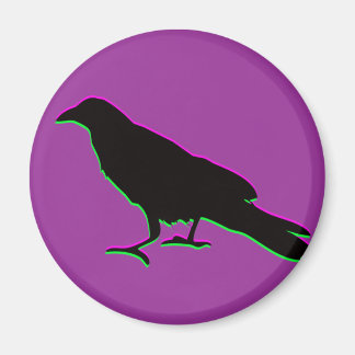 crow magnet