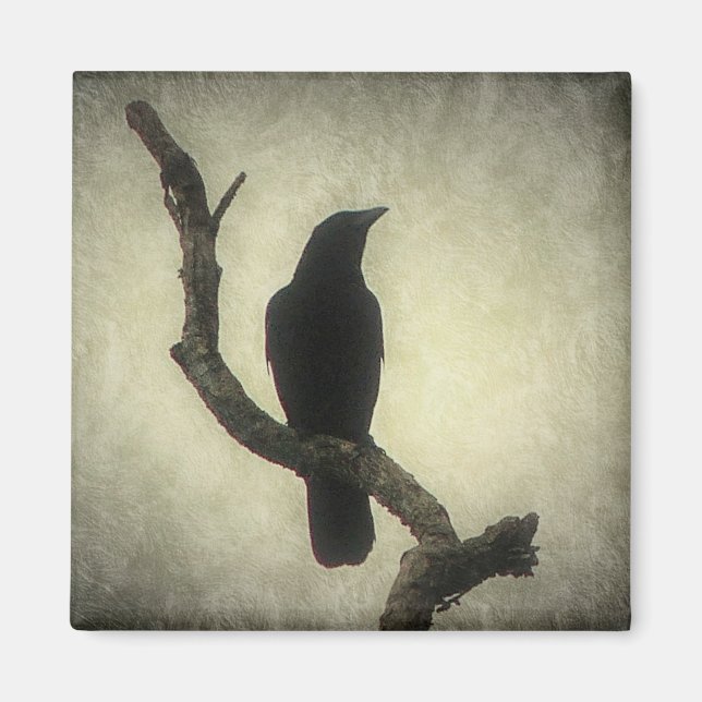 Crow Magnet (Front)