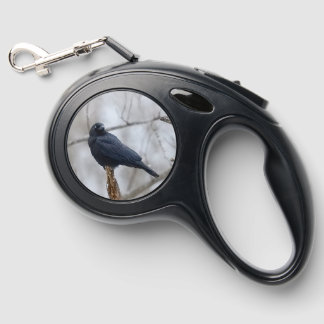 Crow_&_Moon_Leash Retractable Pet Leash