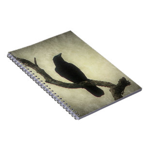 Crow Notebook
