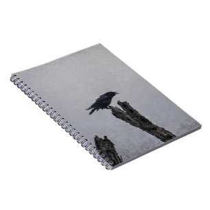Crow  notebook