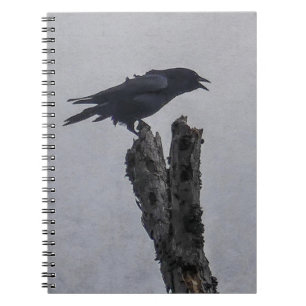 Crow Notebook