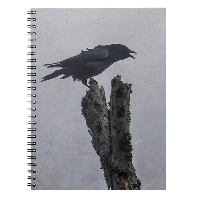 Crow Notebook (Front)