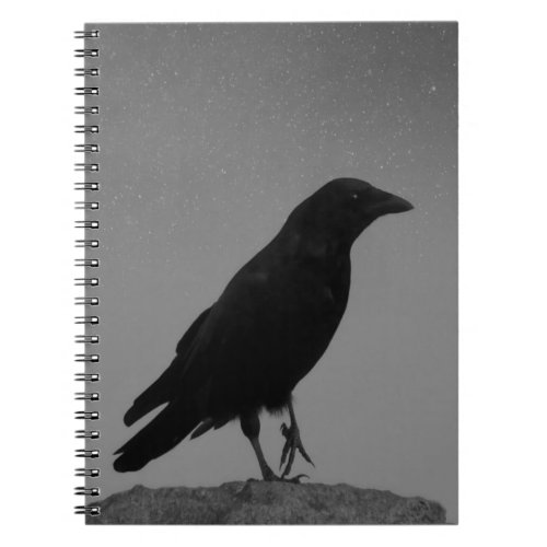 Crow On A Starry Night Notebook