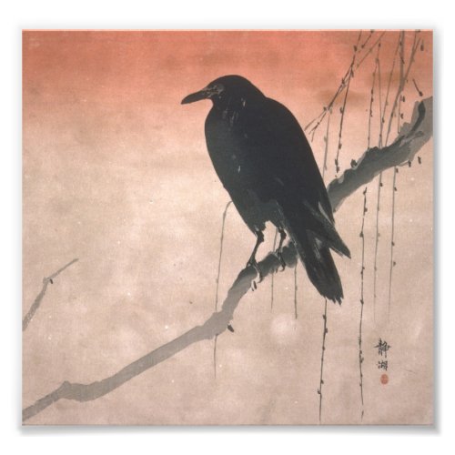 Crow on a Willow Branch Photo Print