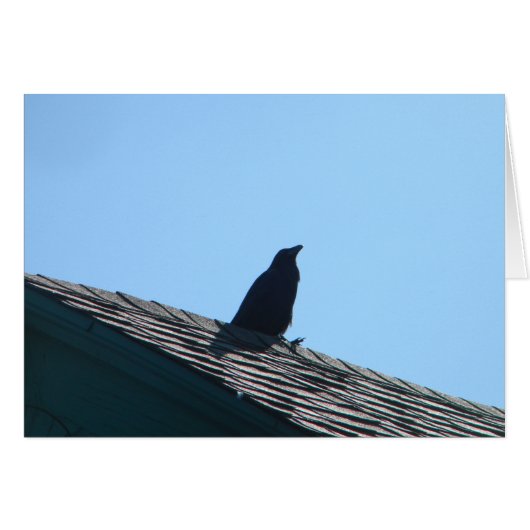 Crow On Roof Cards (Front Horizontal)