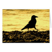 Crow on the Beach (Front Horizontal)