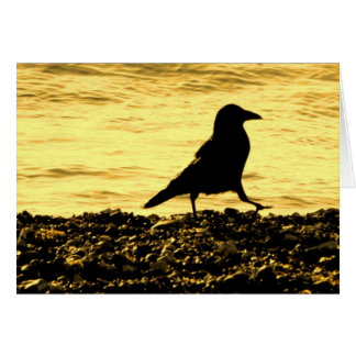 Crow on the Beach Cards