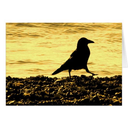 Crow on the Beach Cards (Front Horizontal)