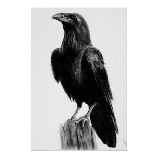 Crow picture   poster (Front)