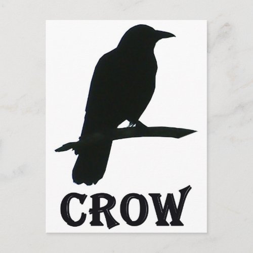 Crow Postcard