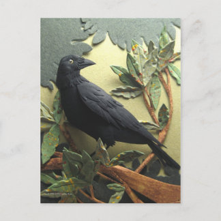 Crow Postcard