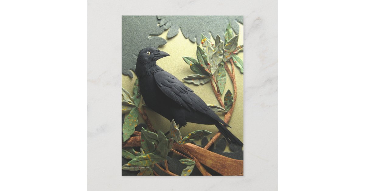 Crow Postcard | Zazzle