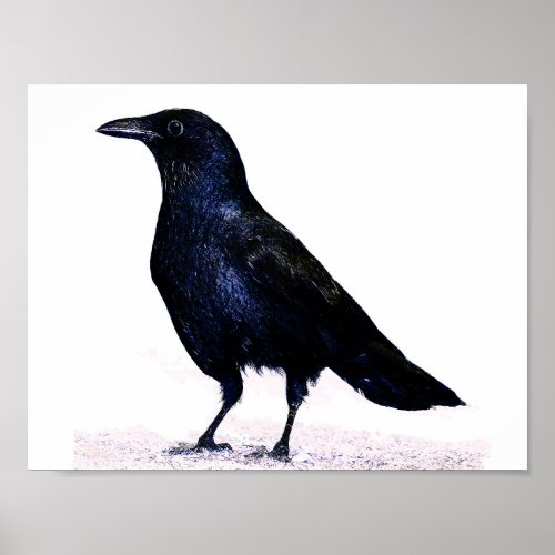 Crow Poster